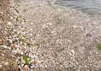 Нереально прозрачное море в Кирилловке показали в сети (видео)