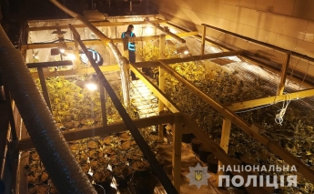 Наркотиков на миллион при обыске нашла полиция в Запорожской области (фото)