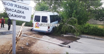 В Мелитополе маршрутка снесла дерево и едва не влетела в АЗС (фото)