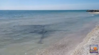 В сети показали какие опасности поджидают отдыхающих на дне моря в Кирилловке (видео)