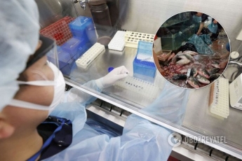 В Китае признались, что коронавирус пошел не из рынка Уханя