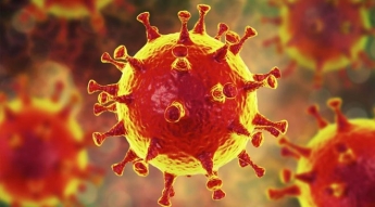 «Перчатки не нужны, вакцины не будет»: Итальянский профессор опроверг ряд мифов о коронавирусе (ВИДЕО)