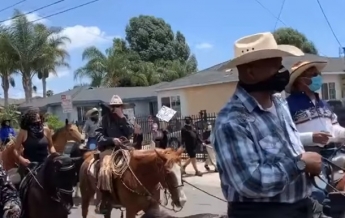 На акцию в пригороде Лос-Анджелеса прибыли ковбои на лошадях (видео)