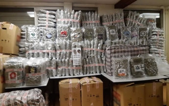 Во Франции водитель грузовика спрятал полтонны марихуаны в арбузах