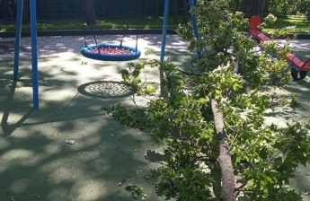 В Харькове часть дерева упала на ребенка (видео)