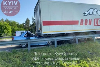 Под Киевом авто снесло крышу грузовиком: выжила только собака. Фото и видео 18+