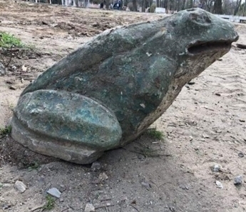 Раритетной лягушке из мелитопольского парка нашли новое место (фото)
