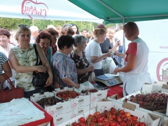 Где в Мелитополе организуют черешневую ярмарку (видео)