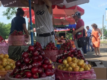 Что почем на сезонном рынке на трассе в Мелитополе курортникам предлагают (фото)