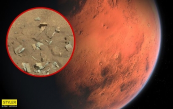 На Марсе нашли "человеческую кость": вскрылась неожиданная правда