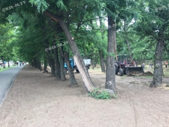 Парк садстанции в Мелитополе еще никогда не был таким чистым (фото, видео)