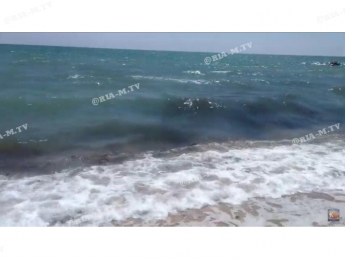 В Азовском море на побережье появились водоросли (видео)