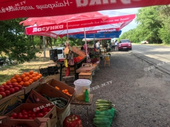 Где выгоднее всего покупать продукты по дороге в Кирилловку и на Молочный лиман (фото)