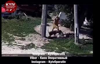 Рубил собак топором: в Киеве произошло жуткое ЧП с агрессивными животными, видео