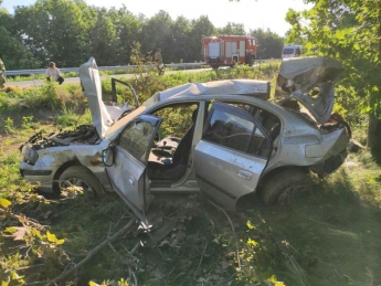 На запорожской трассе произошла смертельная авария с участием детей (фото)