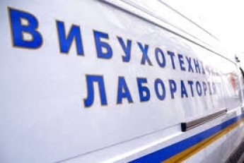 В Кирилловке взрывотехники изъяли гранату из авто задержанного мужчины (видео)