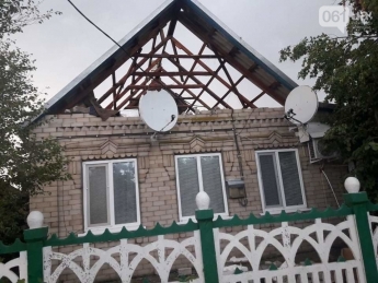 Шквальный ветер обесточил дома и повалил деревья в Запорожской области, - ФОТО