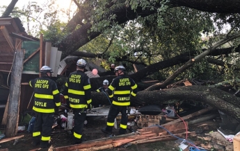 В США на гараж упало огромное дерево, пострадали 19 человек (фото)