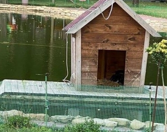 В Мелитополе в парке открывается роддом на воде (фото)