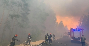 На Луганщине загорелись десятки гектаров леса: людей эвакуируют. Фото и видео