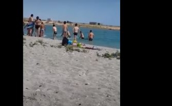 В Казахстане туристы забили палками тюленя ради фото (видео)