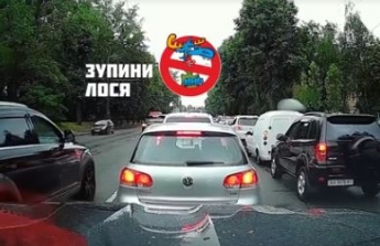 Мужчины устроили разборки на дороге из-за нарушительницы ПДД за рулем: эпичное видео