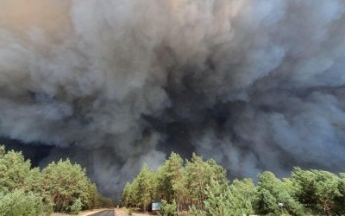 Последствия масштабных пожаров на Луганщине показали с высоты птичьего полета (видео)