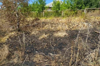 В Харьковской области во время сжигания сухостоя погибла пенсионерка