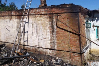 В Запорожской области огонь оставил дом без крыши (фото)