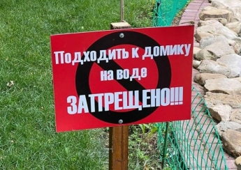 В мелитопольском парке посетители не дают покоя лебедям, высиживающим потомство  (фото)
