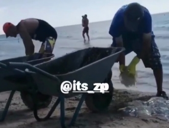 В Кирилловке медуз с пляжей вывозят тачками (видео)