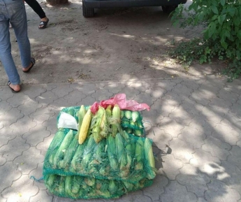 В Мелитополе испортили торговлю продавцам кукурузы (фото)