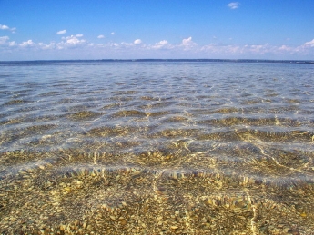 Где на побережье Азовского моря медуз нет (видео)