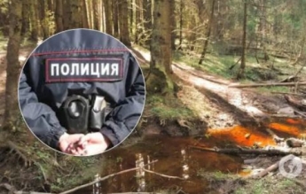 Под Москвой в лесу нашли чемодан с женский телом