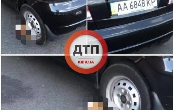 В Киеве водитель оставил труп кота под авто. 18+