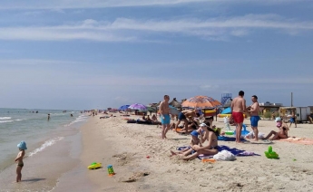 В Кирилловке курортники жалуются, что в море их атакуют креветки (видео)