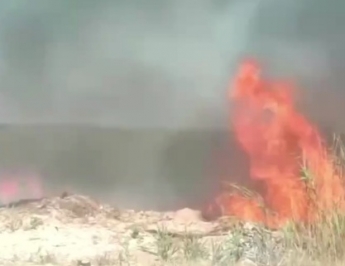 В Кирилловке огонь подбирается к базам отдыха (видео)