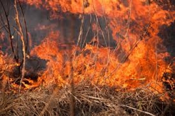 В Запорожской области в горящей траве нашли обожженного мужчину