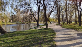 В запорожском парке к отдыхающим на пикник приползла змея (ФОТО)