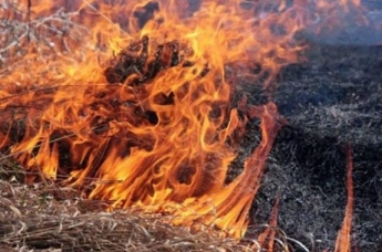 На Луганщине зафиксировали новые очаги возгорания