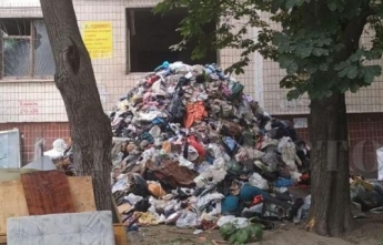 Крысы начали рыть норы: в Днепре неделю вывозят мусор из квартиры (фото, видео)