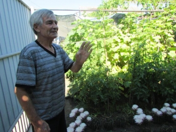 У жителя Бердянска под открытым небом цветут кактусы (фото)