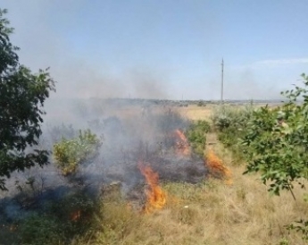В Мелитопольском районе из-за стерни едва не спалили лесополосу