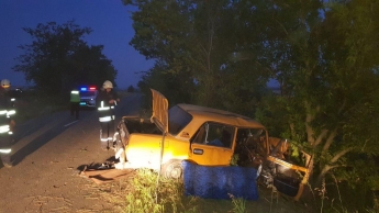 В Запорожской области автомобиль врезался в дерево - есть пострадавшие