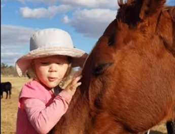 Трирічна дівчинка дуже любить коней і заспівала їм пісню, від якої вони зомліли від задоволення
