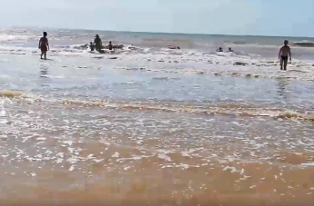 Азовское море превратилось в коричневую жижу - курортники продолжают купаться (видео)