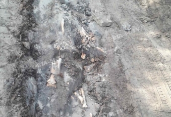 В селе под Мелитополем обнаружен скелет – работают криминалисты (фото)