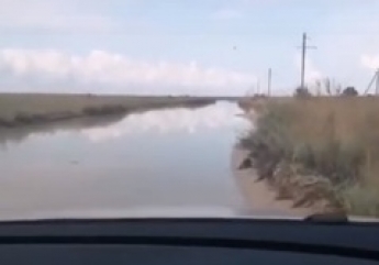 На Бирючий только вплавь – как сегодня выглядит дорога на остров (видео)