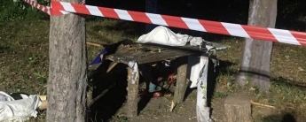 В Черниговской области мужчина во время отдыха подорвал гранату: погибли трое людей (фото, видео)