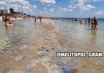 Медузы оккупировали побережье Кирилловки - в воду входить противно (фото)